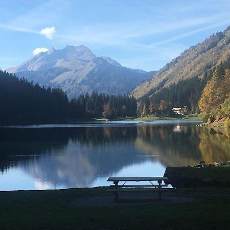 Apartment In Northern Alps With Skiing Nearby Les Gets Esterno foto