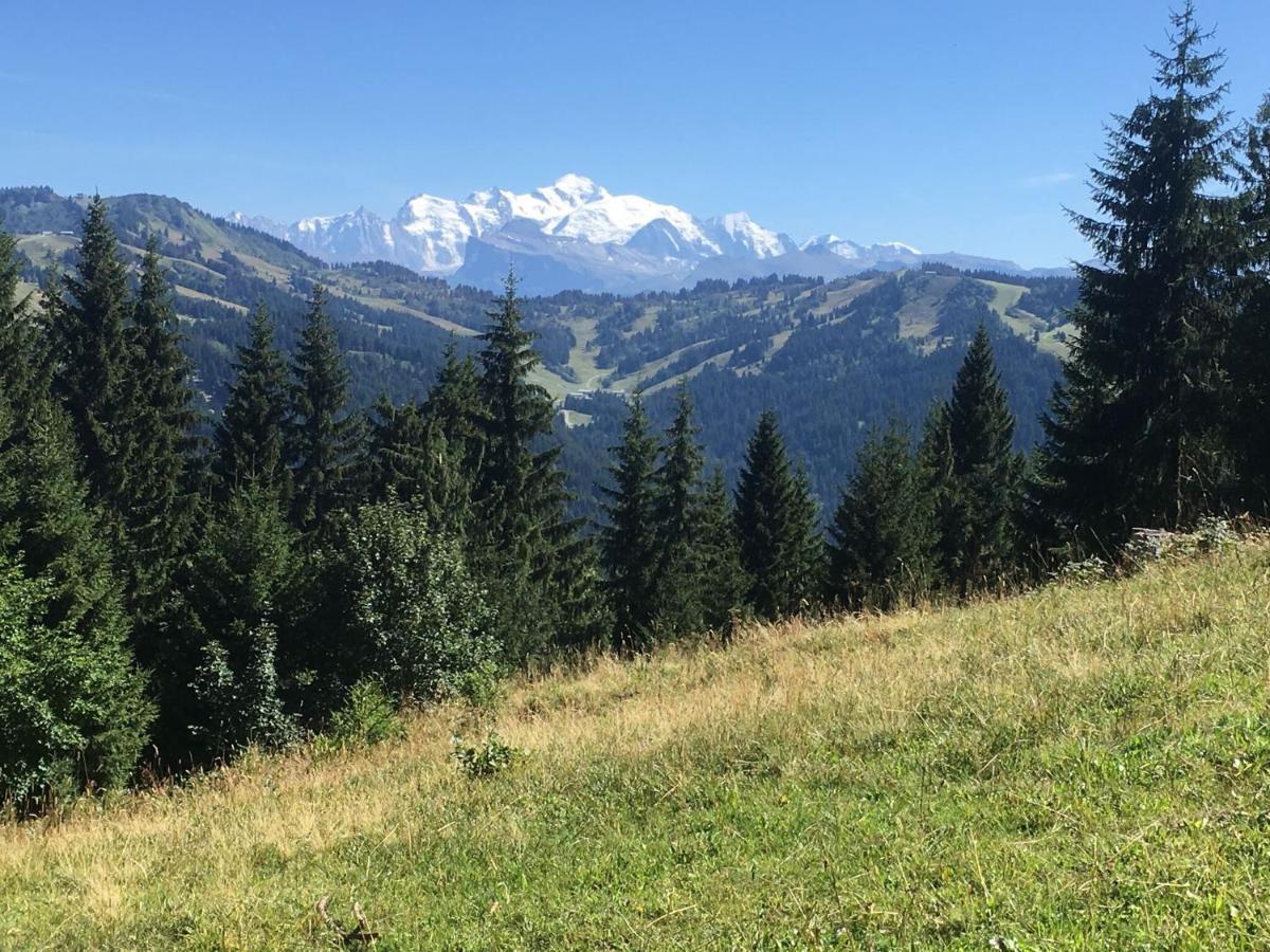 Apartment In Northern Alps With Skiing Nearby Les Gets Esterno foto