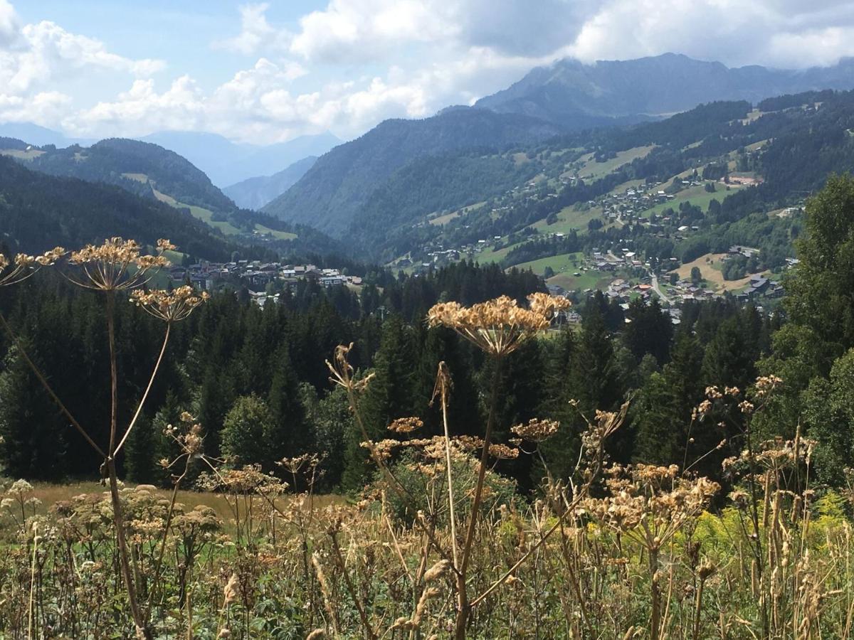 Apartment In Northern Alps With Skiing Nearby Les Gets Esterno foto