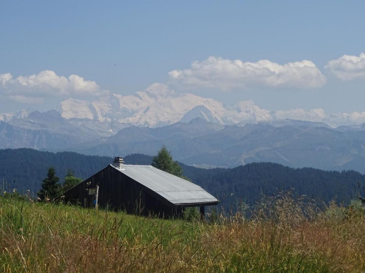 Apartment In Northern Alps With Skiing Nearby Les Gets Esterno foto