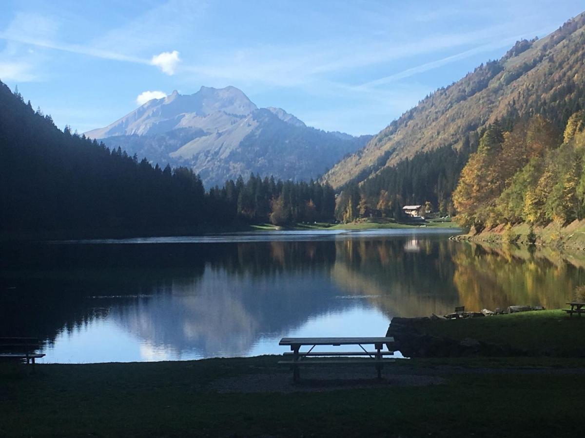 Apartment In Northern Alps With Skiing Nearby Les Gets Esterno foto
